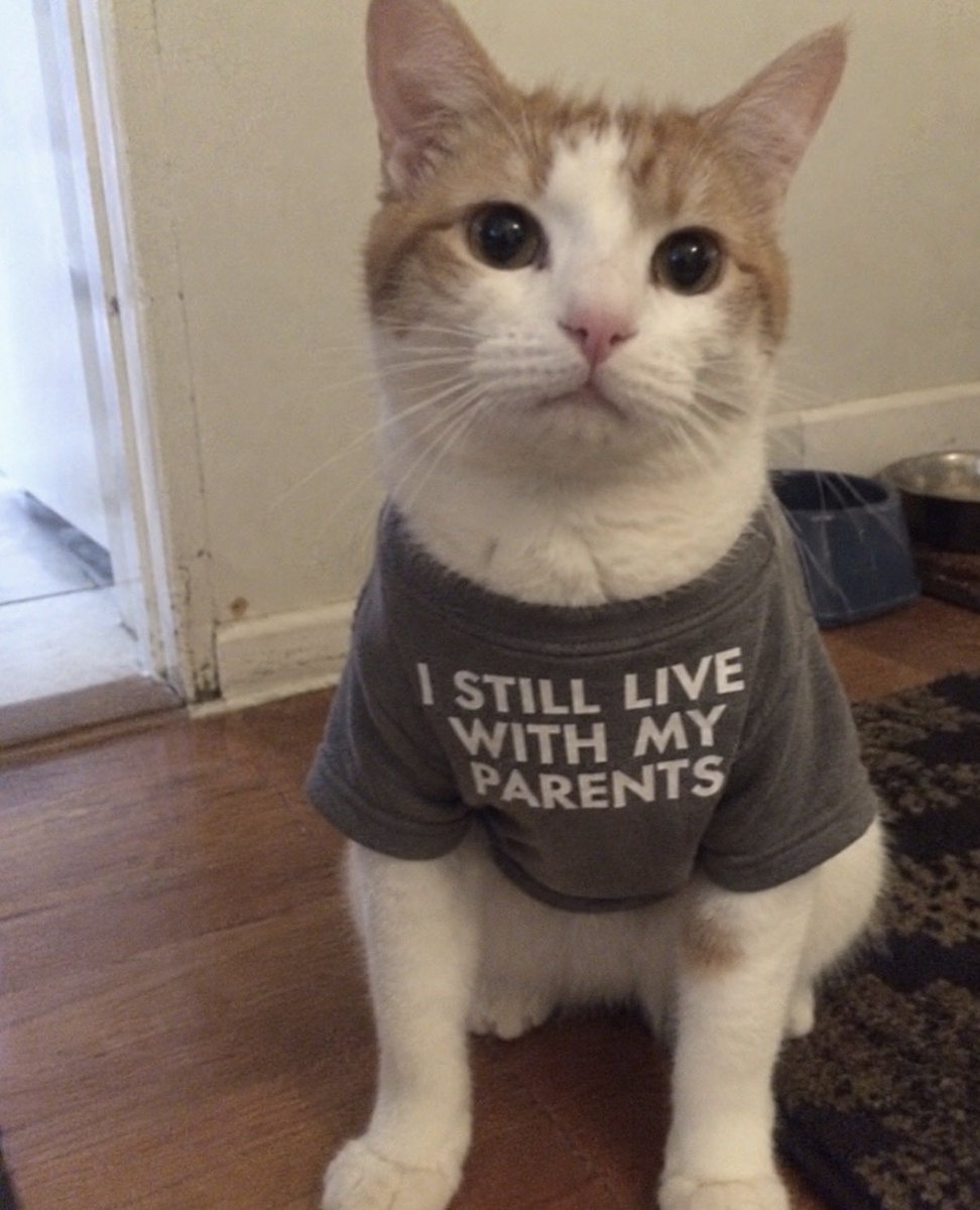 hardcatmemes's tweet photo. In this economy, I don’t blame him https://t.co/Y48d6VP7aZ