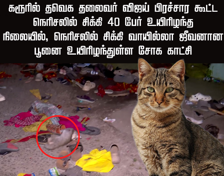 Tintinn_Putinn's tweet photo. dei kaka boys, intha paavam yellam ungala suma vidathu. https://t.co/gcoR4DJZY6