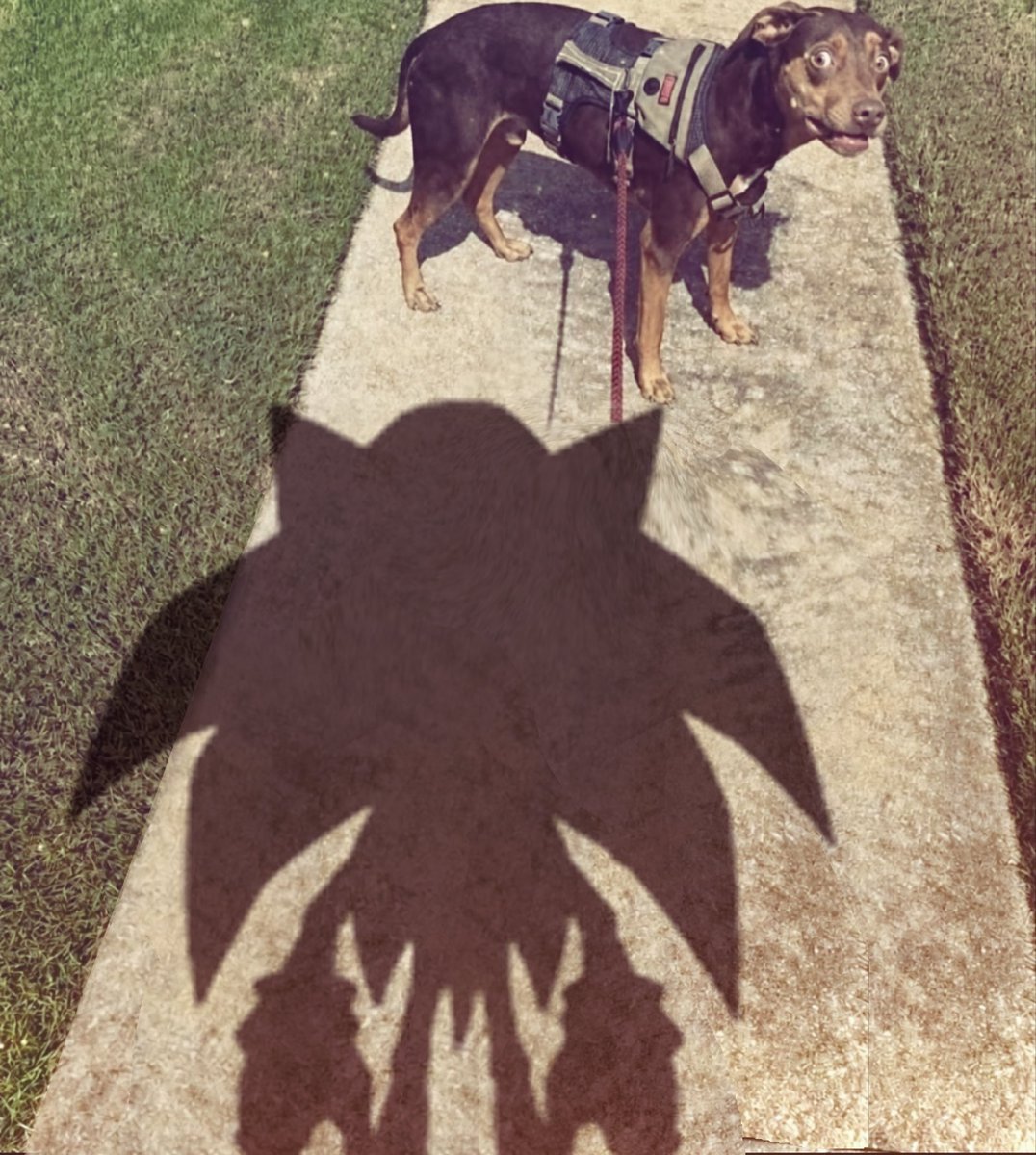 DylanZeMuffin_'s tweet photo. Walking my Dog Today! https://t.co/PzPUGZVW23