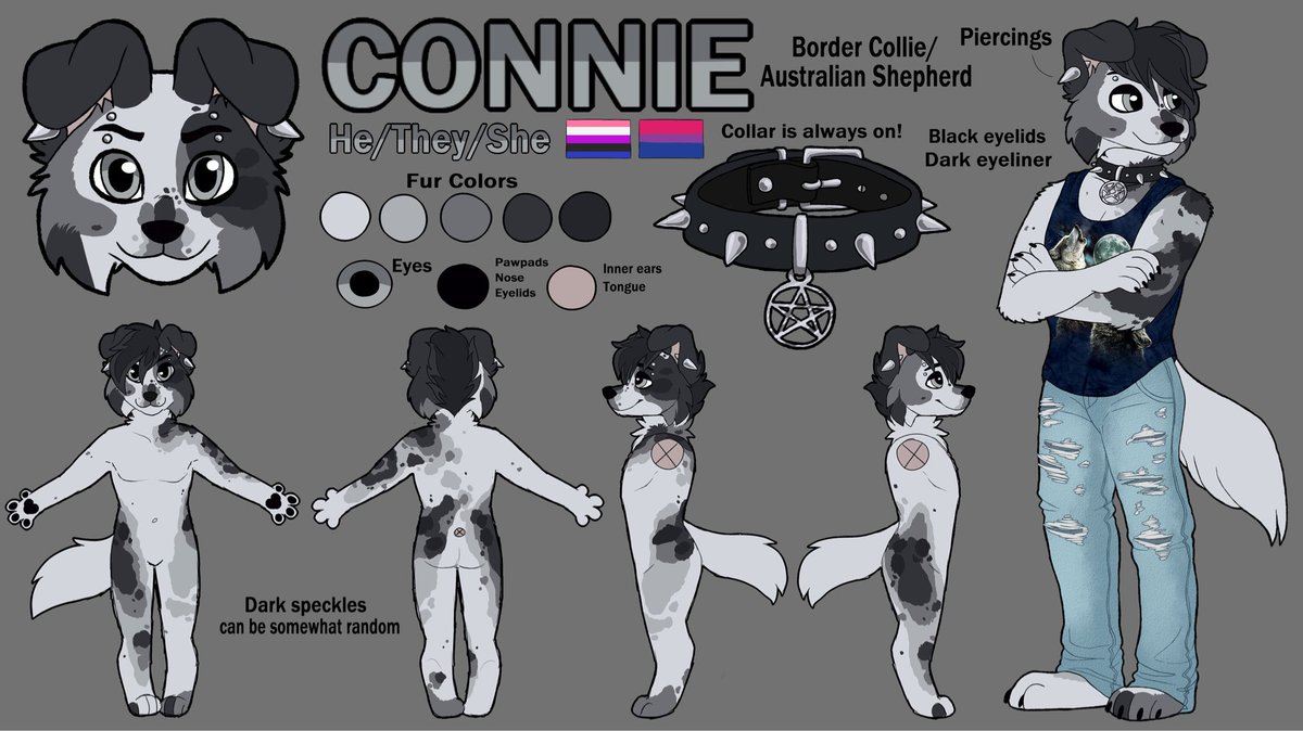 scarletsocks18's tweet photo. Also finished this simple ref sheet for my partner @ConnieDaCollie, as they transition to using Connie the border collie/aussie shepherd as their main fursona :3 https://t.co/vvrqaQqtIG