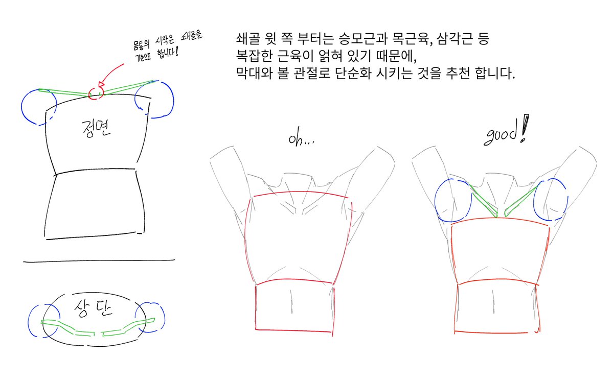 yurayuraX_O's tweet photo. 몸통 단순화(1) https://t.co/HzZaEHvsdZ