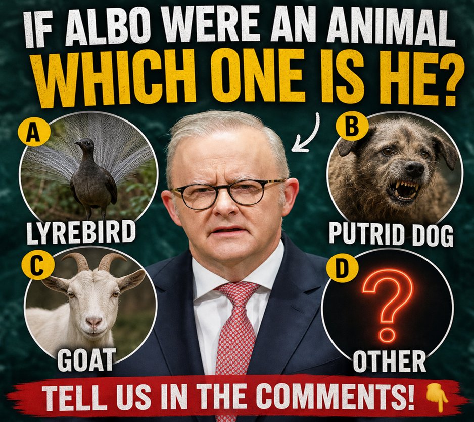 AussieFC's tweet photo. Australia’s most unpredictable guessing game. If Anthony Albanese were an animal… which one are YOU picking? https://t.co/utyngShtgQ