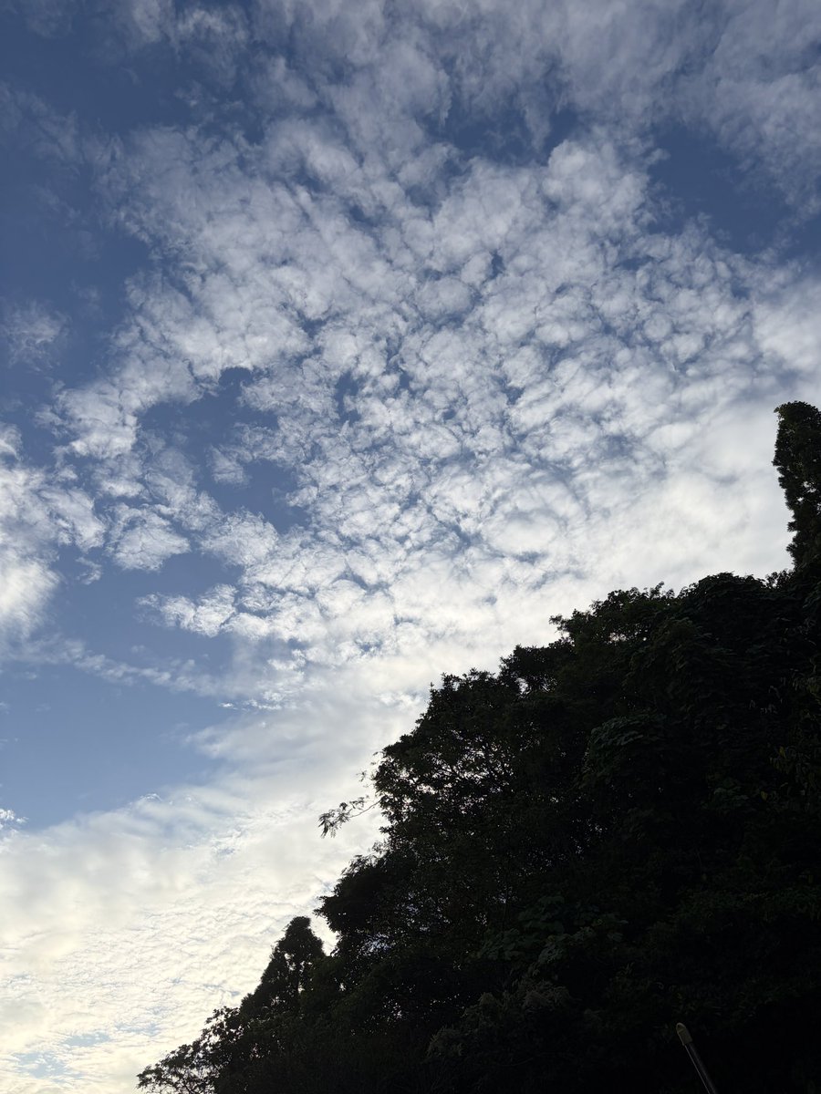 RX7FD3Shim's tweet photo. おはようさんです☁️

9月28日 パソコン記念日💻
今朝は25.0℃

うろこ雲が広がる朝の空、
台風がそれたようで何より

週の始まり月曜日
今日も良き日に👍
本日もよろしくでーす💖✨ https://t.co/wuopLgc11a