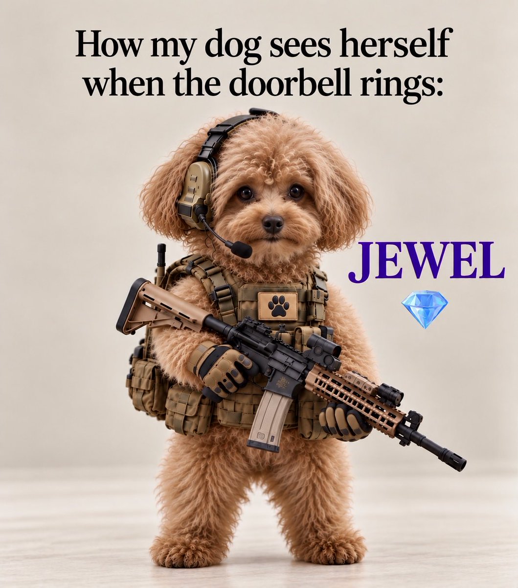 6DManagement's tweet photo. I kid not 🐶😂 In the words of Scrappy-Doo: “Lemme at ’em! Lemme at ’em!” 💎
Jewel every single time the doorbell rings. 😂
#Jewel #ToyPoodle #SmallDogBigAttitude #ScrappyDoo #PoodleTok https://t.co/PrqgyPSPxa