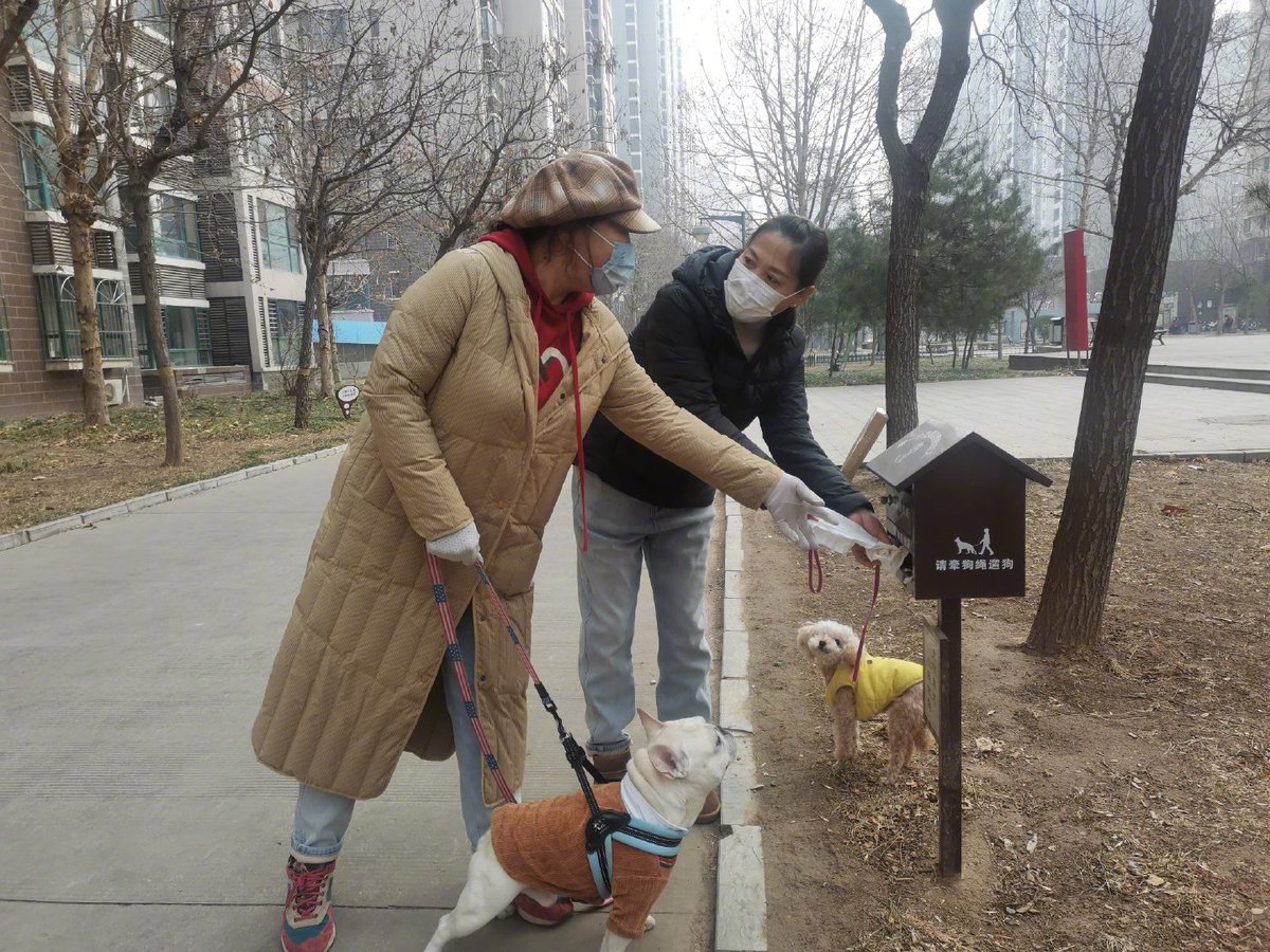 Margarettemdhu's tweet photo. Hoy compartí mi pan recién horneado con el vecino que cuida el perro mientras él trabaja  El vecino sonrió mucho, fue un momento lindo que unió un poco más nuestros hogares. https://t.co/lU2Z8tXk6w