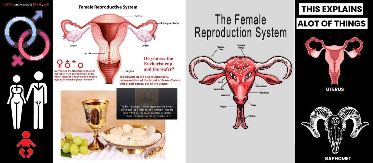 ElCaudilio_'s tweet photo. They are called foids https://t.co/zepy6CpHwk