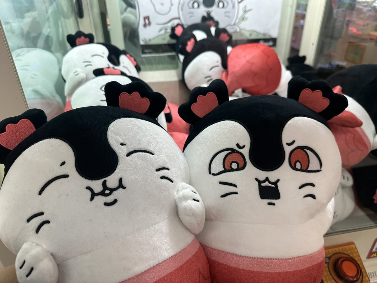 99ek3's tweet photo. 세이렌 보자마자 도전햇는데 하나 겨우겨우 뽑고 기뻐하던 중에 갑자기 인형뽑기랭커1위처럼 나타나신 선생님이 텍걸이 ⬅️ 될 걱 같다고 하셔서 도전햏지만 난 인형뽑기무재능으로 실패하고 그분께서 인형 직접 뽑아서 진짜 2트만에 왕큰세이렌을 나에게 건내주고 가셧음  ......... https://t.co/DQGW8NsJ94