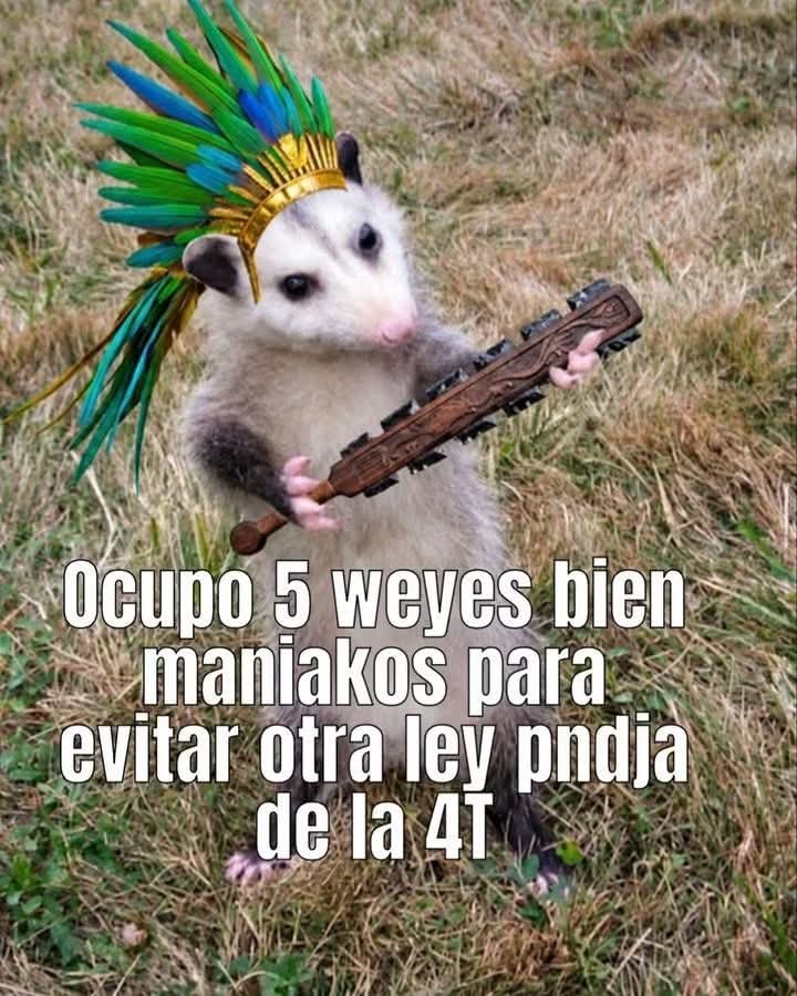 RavenShazam's tweet photo. @Jean_0097 Agarra el pedo mija https://t.co/3UWw2JLWlh