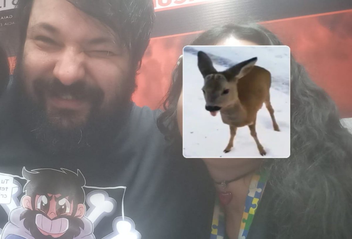nekobiites's tweet photo. hoje encontrei os goats @_Daishikawa @EuHipe @Core__Core  !! foi incrível, eu abracei eles e acabei chorando de tanta felicicade ♡ VENHAM PRA BELÉM DNVVVV PLSSS https://t.co/ufBCgwuvEC
