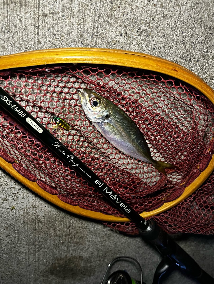 kijinabe2's tweet photo. 前回エントリーしたポイントへ
アジ調査しつつ、ゴッツンバイブの新作が出るとの事でバイブレーションの練習
妻とのWヒットも！(ゴッツンバイブ&amp;B-Vibe)
#エル・マーベラ
#ゴッツンバイブ
#Bvibe
#ナノアジメタル https://t.co/Uor84kVTCg