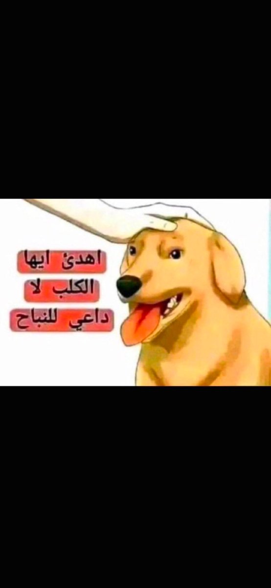 3bdvx's tweet photo. @Resistax97 نباح الكفار على الحجاب 🤣 https://t.co/dC657Mx8fF