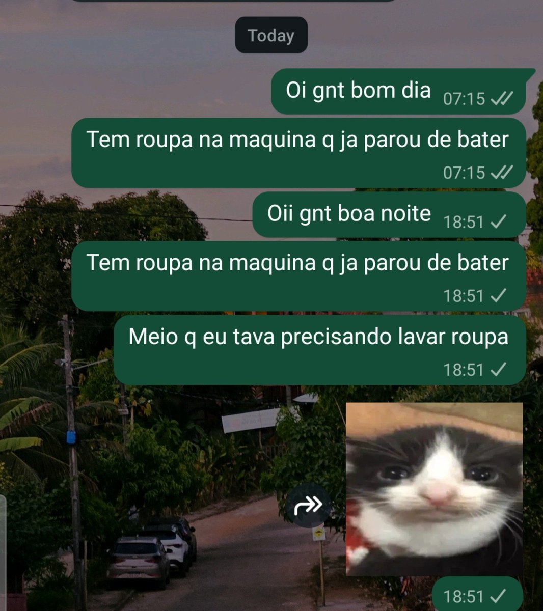 eojacobe's tweet photo. Eu quis dizer: "Mano vsfd, to dês de manhã tentando lavar roupa mas vcs n tiram A PORRA da roupa de vcs, parece q alugaram o CARALHO da lavadora porra.  Agorinha vou jogar essas porra tudo no chão, ai vai ficar bão.
Boa noite, agradeço a compreensão🥰" https://t.co/uv4j7hilkR