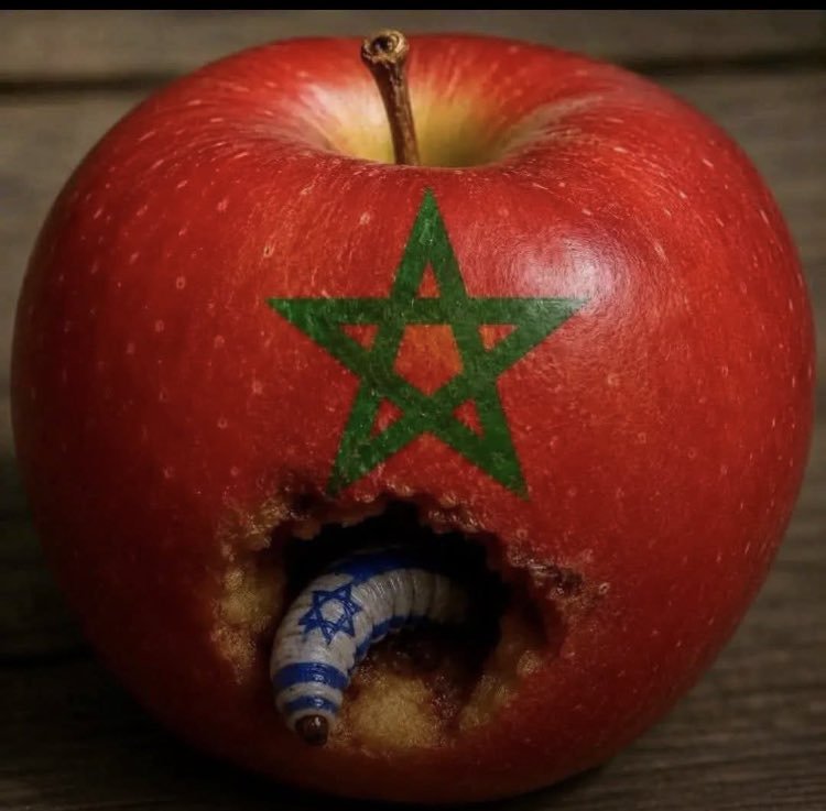 Misantropicos_'s tweet photo. @thenews_fr https://t.co/yfe9Zed8Nu