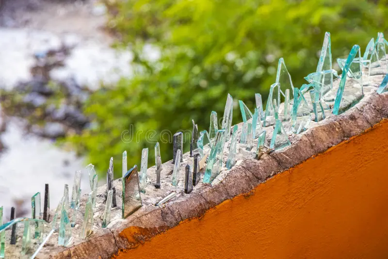 lordtankmx's tweet photo. Todos los que salieron a defender a los Osos en San Pedro también salieron a defender a los Gatos, Tlacuaches y demás creaturas de la noche que se cortan ahí en tu colonia con los vidrios en las bardas? o ahí no vale? https://t.co/8JNGn1wfUT