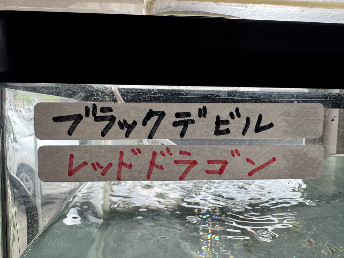 miyakoonodera's tweet photo. 金魚
事務所へ
猫たちは静観モード
「大煙突日乗 」 〜今朝の煙突の見える風景〜 #煙突 #宮古市 #smokestack #japan #tohoku #iwate #miyako https://t.co/iB3vb31NKx