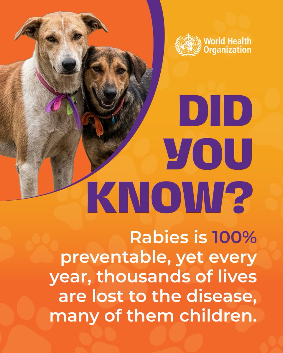 WHO's tweet photo. It's #WorldRabiesDay  

Every nine minutes a person dies from #rabies, although it is 100% preventable.
Protect yourself & your furry friends 🐶 by getting your dog vaccinated annually. Ensure people who are bitten also get access to life saving vaccines!
Learn more 🐾  https://t.co/sYeucLHabG