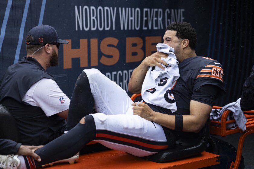 BearsShowYo tweet picture