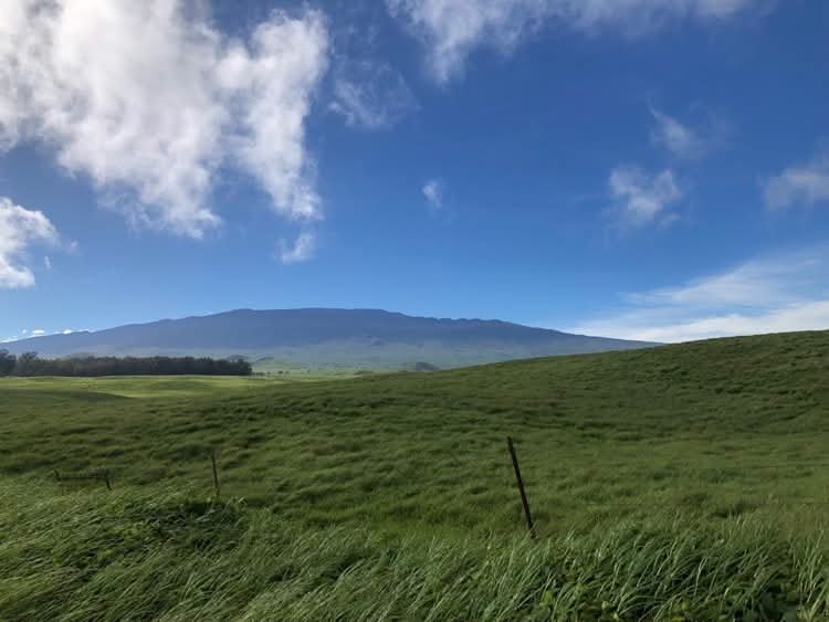 joe_ironman's tweet photo. Scruffy tells me that the power has been out since 9a while I was up on the Ranch enjoying the sunshine and wind....
#hawaii #bigisland
#xoskinusa
#hawaiiultra #teamfireball
Noxgear lighted vests for you and your pets! https://t.co/gMUYlIrtug https://t.co/P9gBHjoBR5