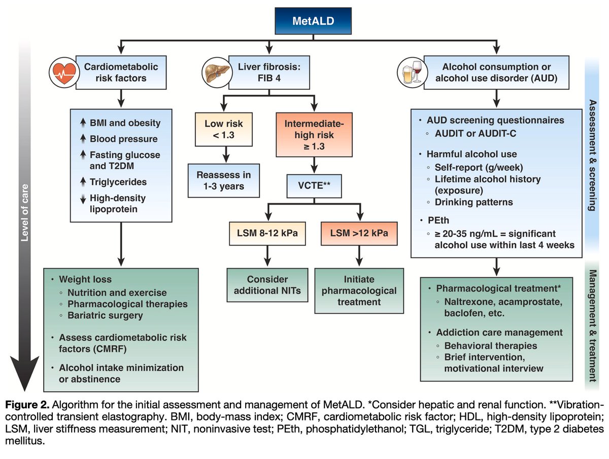 juanpabloarab's tweet photo. Pleased to share our AGA Clinical Practice Update on #MetALD: 9 best practice advice statements on diagnosis, fibrosis assessment, and management. Addressing metabolic risk and alcohol use together is central to care. @AGA_CGH 
https://t.co/aaoFLXTTOA https://t.co/UmRIwvXqG5