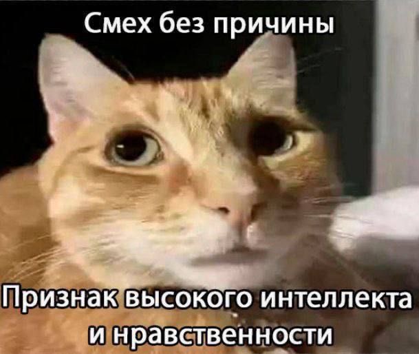 Sharkiss69's tweet photo. infopostiiiiiing

мне 19
негодяйка с юридического
люблю детпула и человека паука
смотрю аниме, сериалы типо отчаянных домохозяек и всякие ментовские войны
оч люблю все романтизировать
(буквально все) под музыку 

я хз че еще пишут в таких постах, держите мемы с вайбом меня¿ https://t.co/b4DOqnU7k1