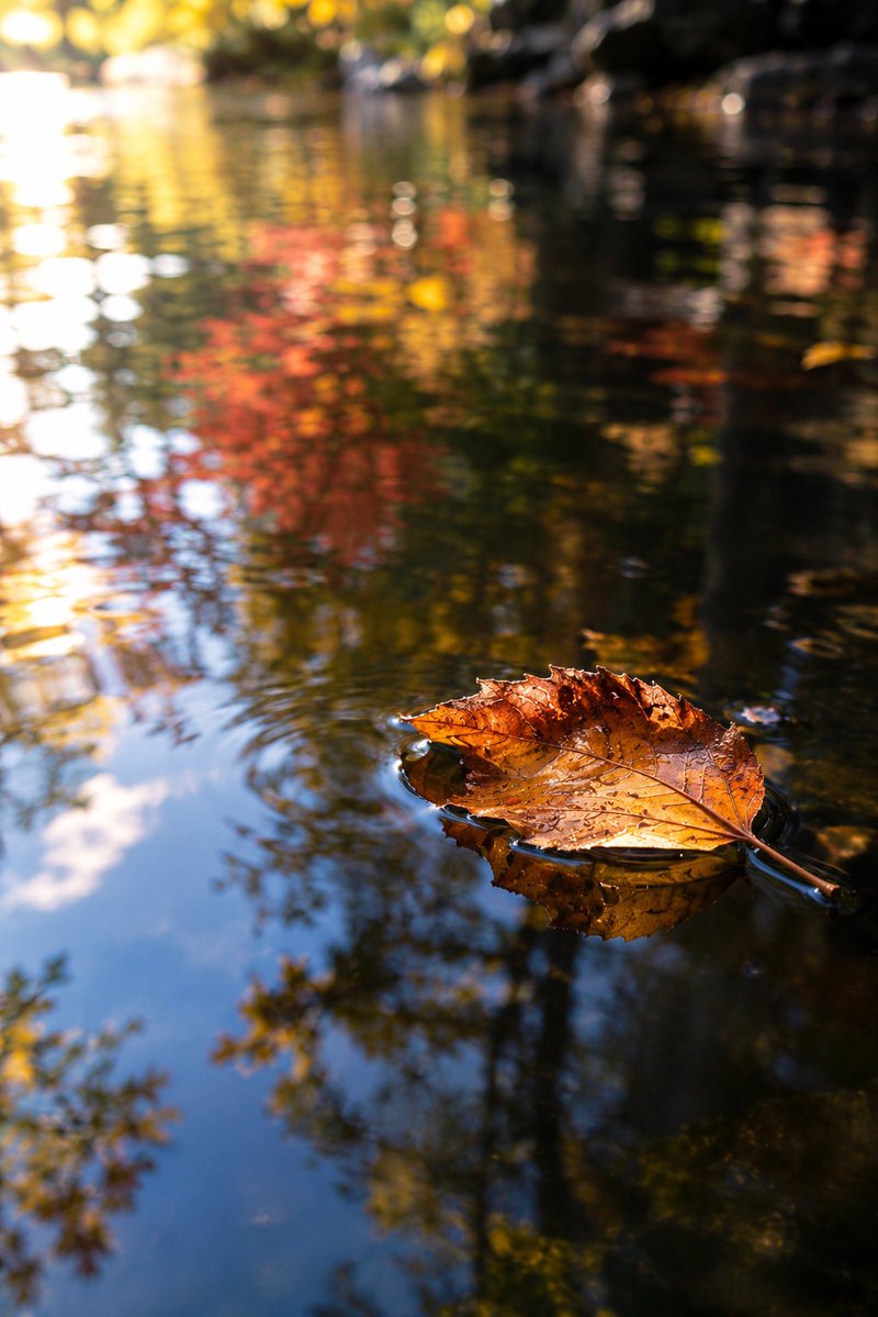 Marksn0007m's tweet photo. 水面に浮かぶ枯葉かな

#AI風景 https://t.co/HP82SjWHmE