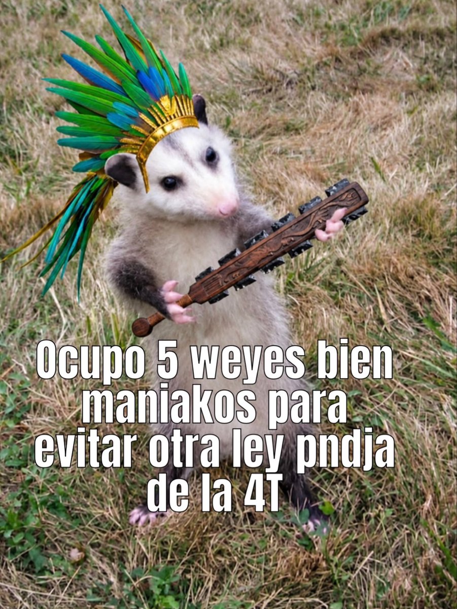 MisterMatafurro's tweet photo. @KevinLemon5 Se está poniendo interesante la trama https://t.co/k0CPTk0dfO