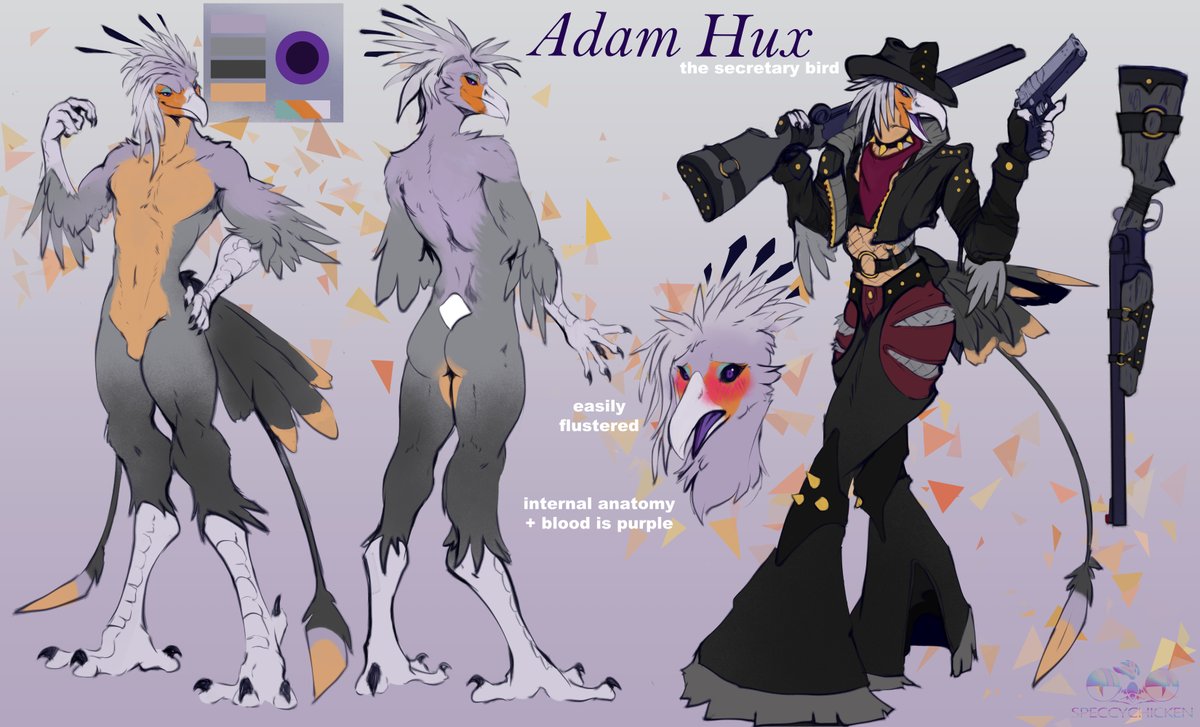 SpeccyChicken's tweet photo. Bounty hunter bird https://t.co/acOJvb10Ob
