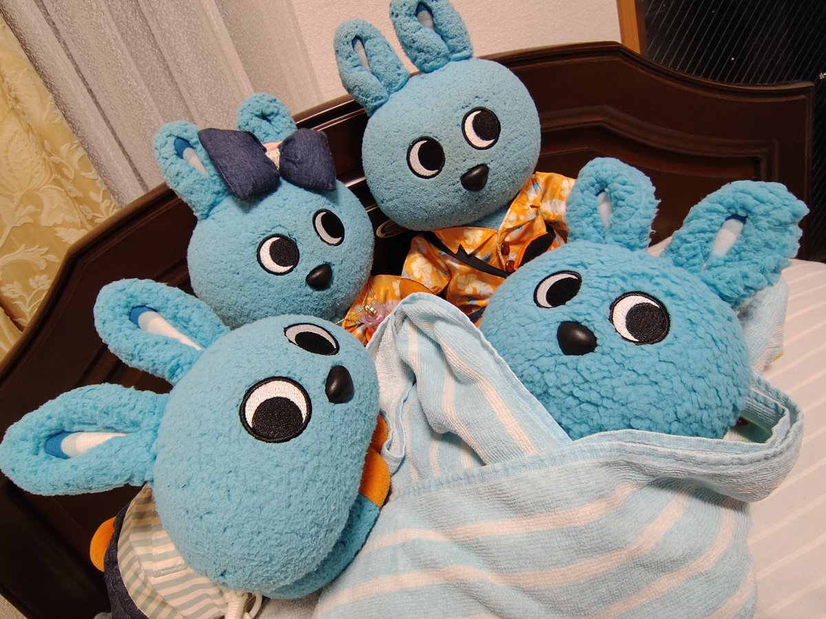 milkymintsheart's tweet photo. 『おはもこ♪あたらしいきょうだい、おとうとかな？いもうとかな？』先住のもこず、新しくやってきたきょうだいが弟か妹か気になって仕方ないみたいです😊
#もころん #一家に一匹もころんを #我が家のもころん https://t.co/LzHbSTdEGU
