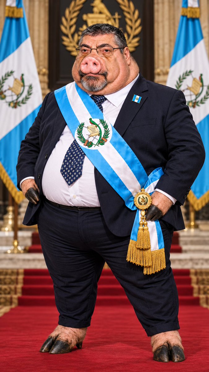 Herman5818Pb's tweet photo. Q75 mil Quetzales a la semana para alimentar al presidente Bernardo Arévalo.  Que barbaridad de dinero. https://t.co/gmlqKLD4Np
