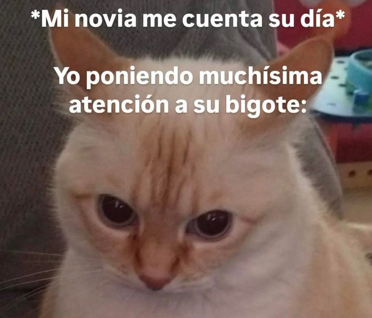 Animalesaprieto's tweet photo. https://t.co/vlK5LHFevB