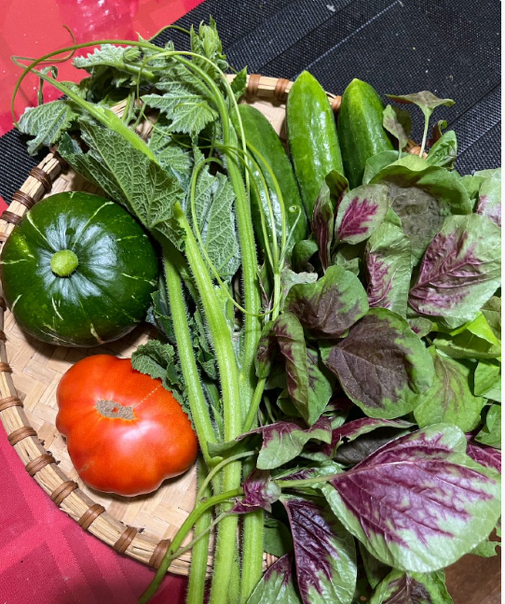 CarolinRehcvdx's tweet photo. Compra rápida de verduras frescas: espinacas, tomates y calabacines, perfectos para una ensalada saludable! ， https://t.co/4Mh9ItOLil