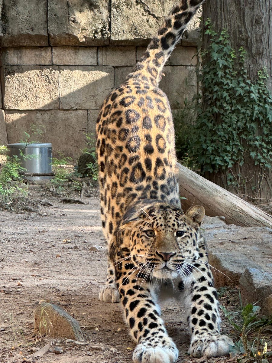 phillyzoo tweet picture