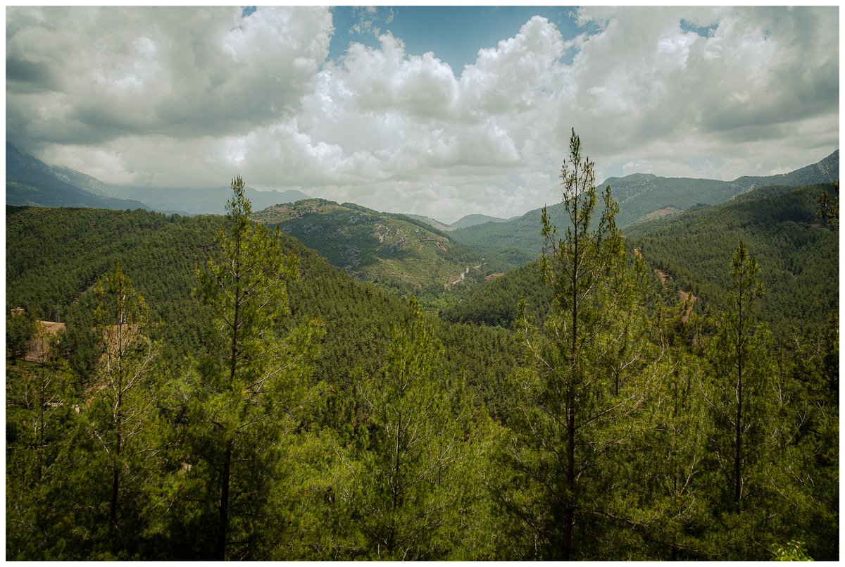 leo1855's tweet photo. The road back from Sapadere Canyon opened up to this sweeping view over the treetops, with layers of hills disappearing into the distance beneath those huge drifting clouds. #SapadereCanyon #Alanya #Turkey #Turkiye #Mountains #MountainView https://t.co/HvPZRClpRq