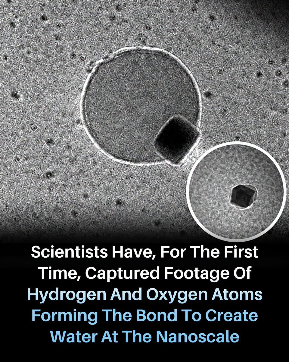 scitechgirl's tweet photo. Scientists Just Watched Water Being Born.

We all know the formula: 2 hydrogen atoms + 1 oxygen atom = water.
But seeing that reaction happen at the nanoscale is something else entirely.
For the first time, researchers were able to observe hydrogen and oxygen atoms coming together and forming water in remarkable microscopic detail.
It offers scientists a rare look at one of chemistry’s most familiar reactions—not just the final water molecule, but how it forms.
A reaction we see everywhere may hide an incredibly complex microscopic story. 

Source: Researchers, Nature Communications. Study on nanoscale water formation and hydrogen–oxygen reactions.