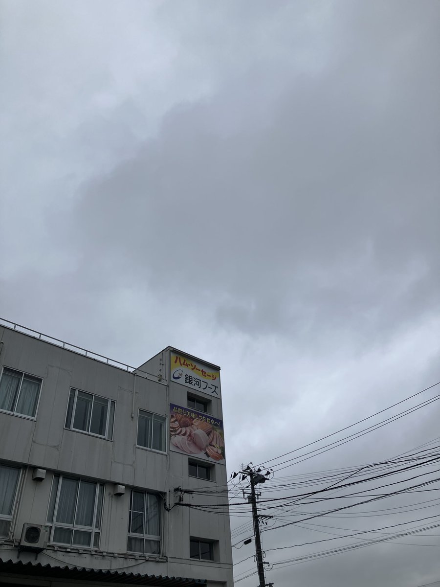 gingafoods's tweet photo. おはようございます、ウインナちゃんです😌
本日はあいにくの曇り空ですが、社内の花壇では今日も元気にお花たちが咲いています。
どんよりとしたお天気も吹き飛ばせそうな���でお裾分け🌱
今週も一週間頑張りましょうね🌟
#企業公式が毎朝地元の天気を言い合う 
#銀河フーズ 
#岩手
#花巻 https://t.co/ZzPNAij6Tf