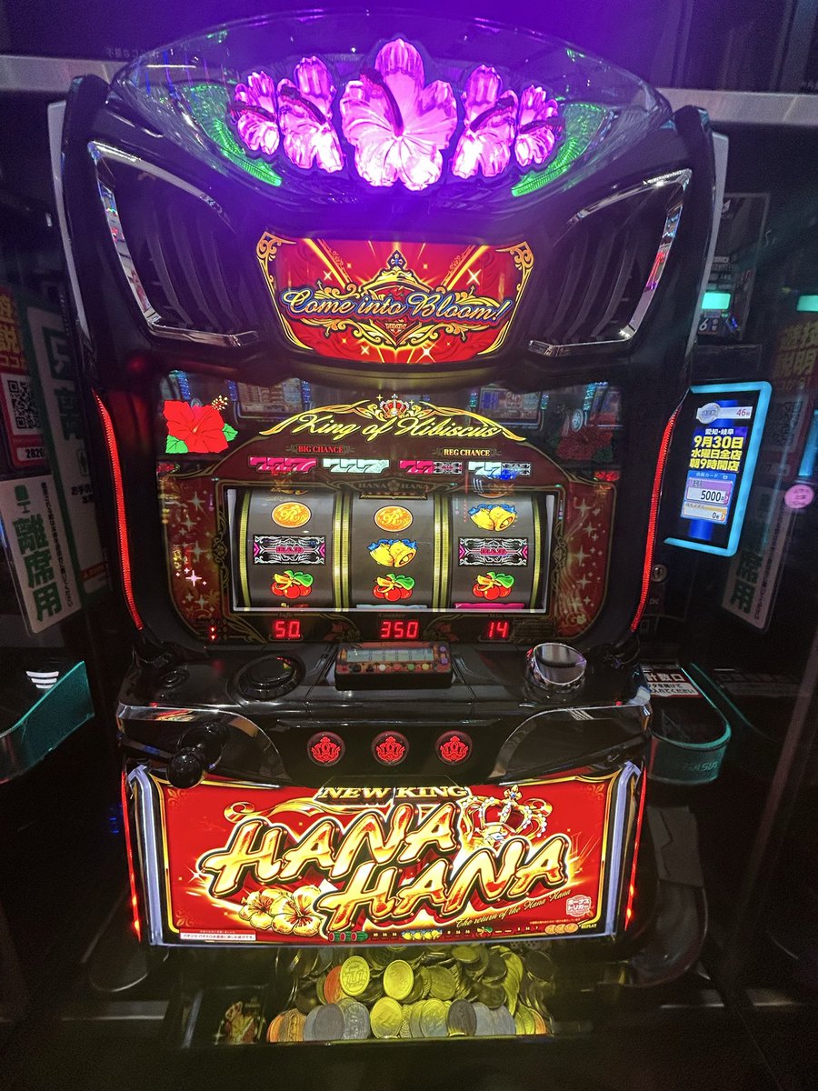 b_ml80396's tweet photo. やっと初当たり
674GBIG
次でレトロ
投資20本トントンまでお願いします https://t.co/IxdbhvAhqS
