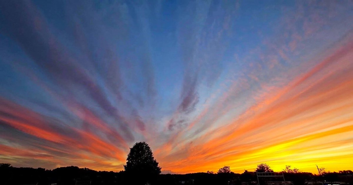 louisedbegin's tweet photo. Good night.
Sunday left like it had something to prove.
Those streaks are just thin cloud catching the last light and throwing it across the whole sky. One tree standing there like it paid for the ticket.
I am going to look at this one more time and then I am done for the day.
Sleep well. 💙