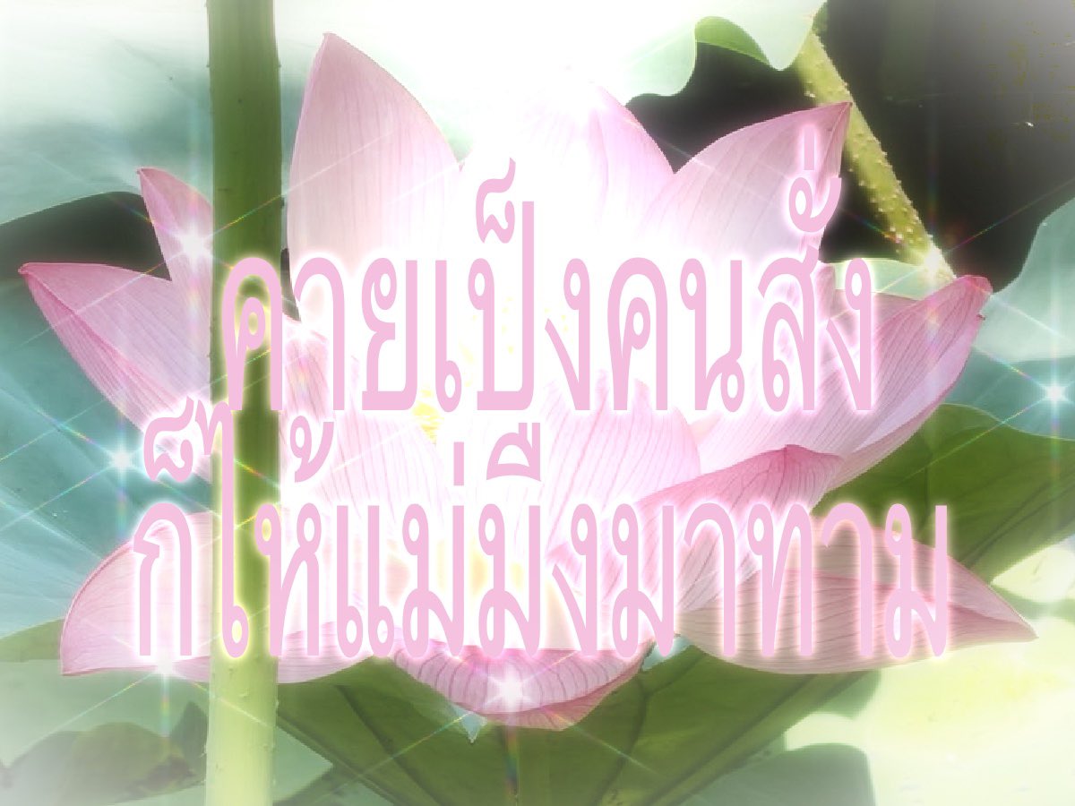 poo9932's tweet photo. เสียงเจ๊แต๋ว https://t.co/1kt9xS1UMS