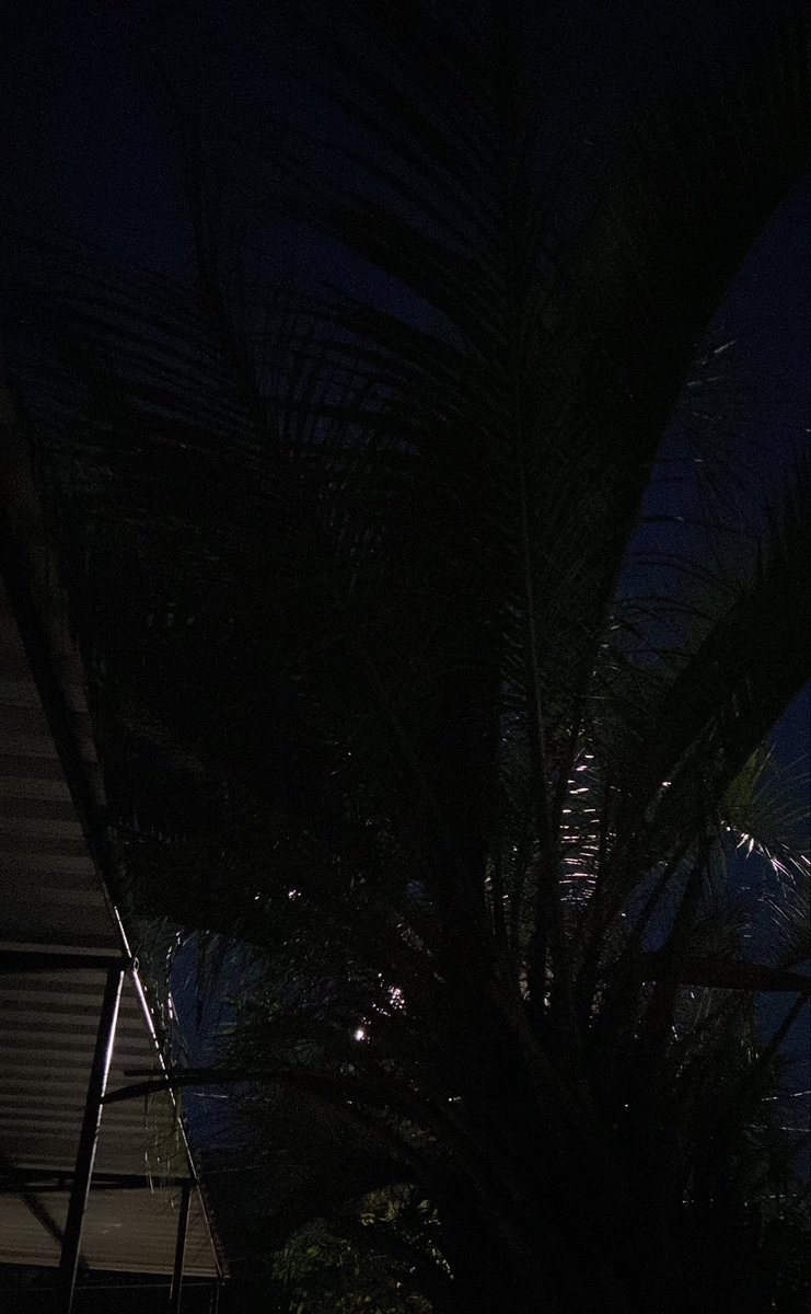 bybyeswft's tweet photo. pra combinar com minha depressão  ouvindo chloe or sam or sophia ou marcus no meu quintal escuro só faltava um vinho https://t.co/ubdjmN5TfV