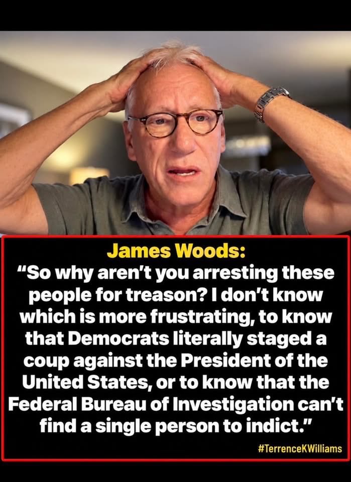 DabbKen's tweet photo. Actor James Woods asked Republicans : “So why aren’t you arresting these people for treason? I don’t know which is more frustrating, to know that Democrats literally staged a coup against the President of the United States, or to know that the Federal Bureau of Investigation can’t find a single person to indict.”