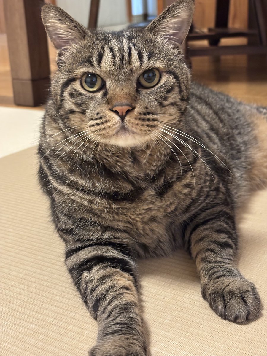 TH82624015's tweet photo. おはようございます♪
今週もよろしくお願いします。 https://t.co/0b0xJY8gKr