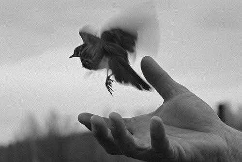 mofrdaat99's tweet photo. لا تسامح من جعلك تشفق على نفسك....🥀 https://t.co/QsgxlVHMVo
