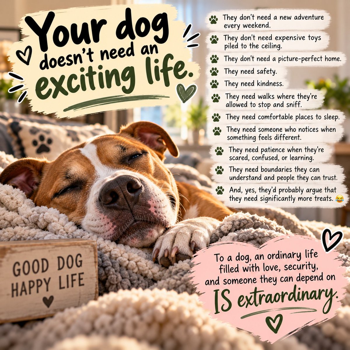HappyBullyPress's tweet photo. Happy Bully Press
Educate ❤️ Advocate ❤️ Love ❤️ https://t.co/2BIELIddZw