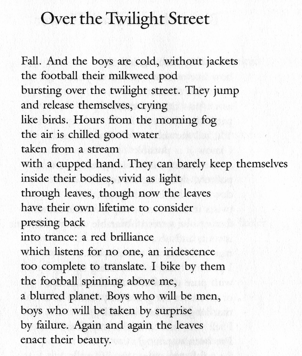 phillipcrymble's tweet photo. Again and again the leaves / enact their beauty

Marianne Boruch https://t.co/Pfv1doOtFX