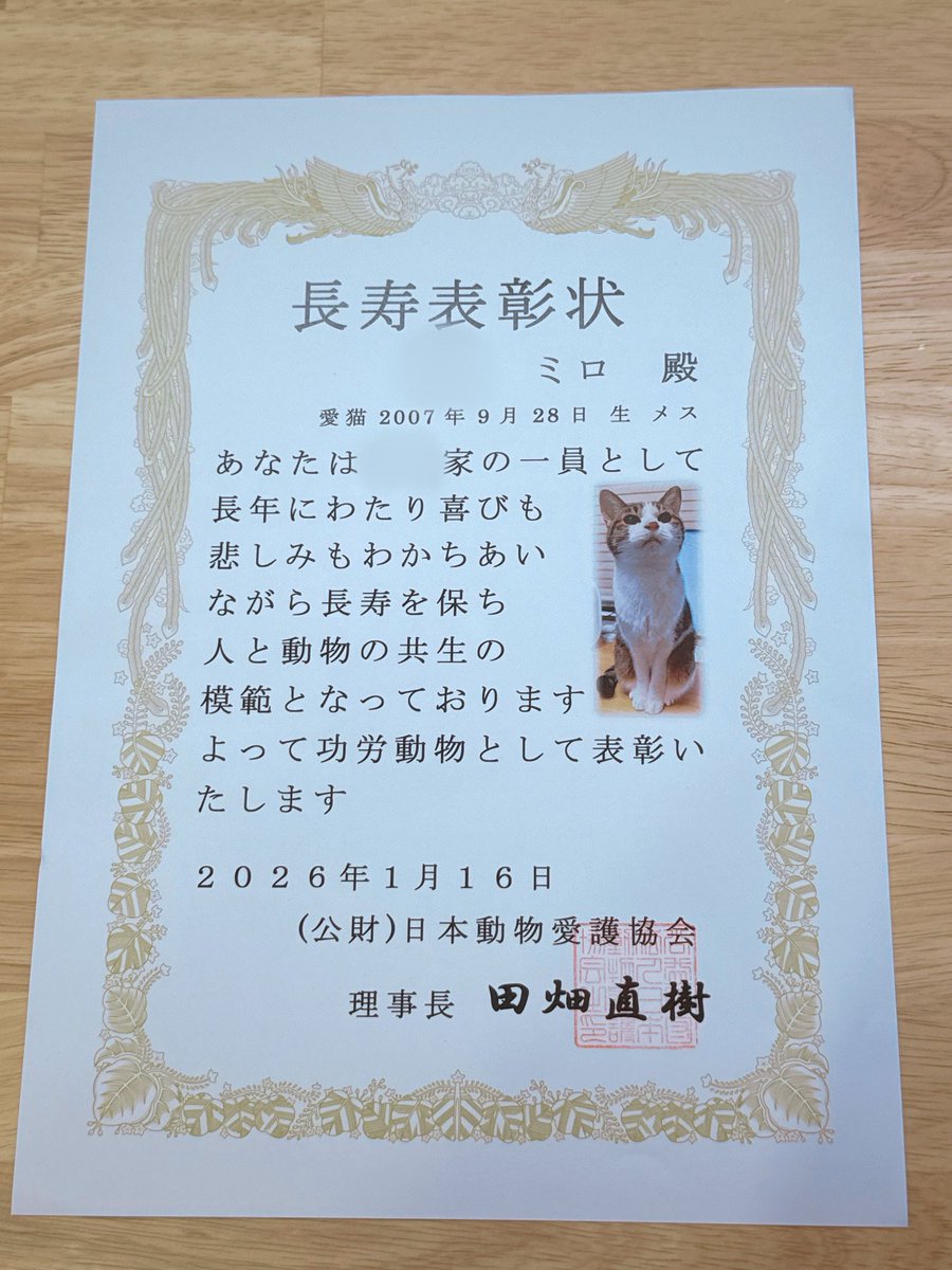 mironuko's tweet photo. 本日19歳になりました🎂

毎年「今がいちばんかわいい」と思ってるのに、今年も軽く更新してきました。

いつもそばにいてくれてありがとう☺️ https://t.co/c9nVPpPkMn