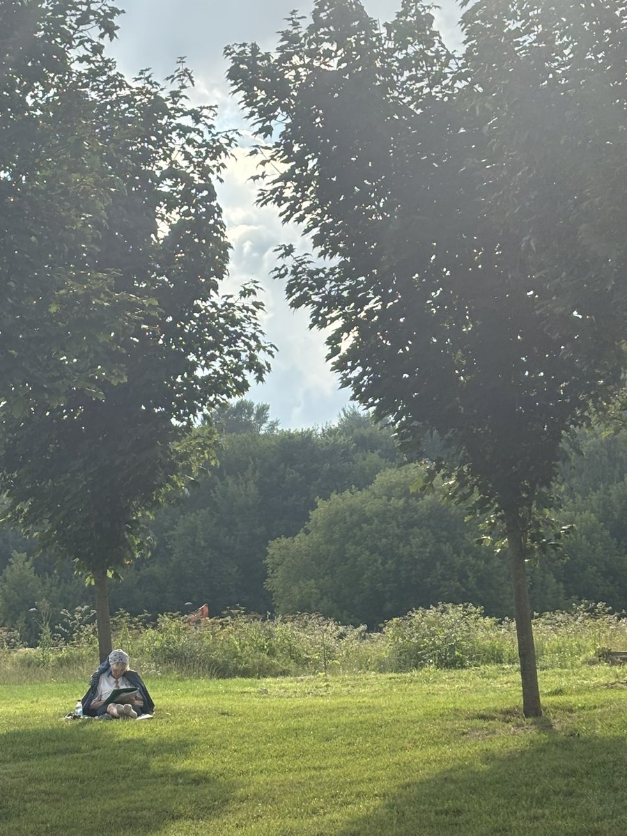 nikonschi's tweet photo. 🌺🌳☀️ https://t.co/CvNB4sColU