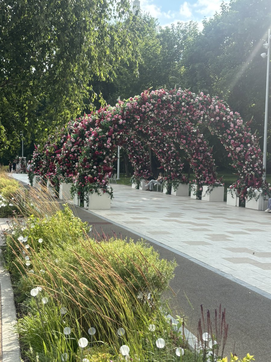 nikonschi's tweet photo. 🌺🌳☀️ https://t.co/CvNB4sColU