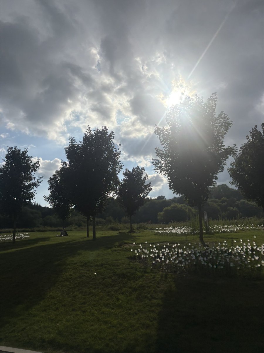 nikonschi's tweet photo. 🌺🌳☀️ https://t.co/CvNB4sColU