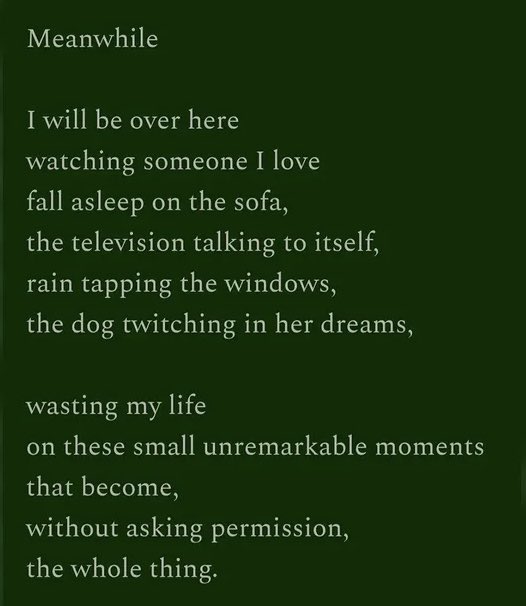 DarinaNiC's tweet photo. "Please Use AI" !!!!
Poem by Jo Atkins-Potts https://t.co/CL6TWLE1qa