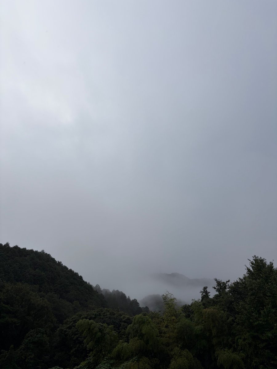 kumagai_TMK's tweet photo. @goodjog_hfm おはようございます☔️
福山市水呑町の7時頃の天気は雨☺️
けっこうよう降ります
夜中の雷にもビックリ‼️

今日も笑顔で過ごしましょうね🎶
ご安全に〜🥛
#GOODJOG #ジョグ天 https://t.co/2sq0aks9m2